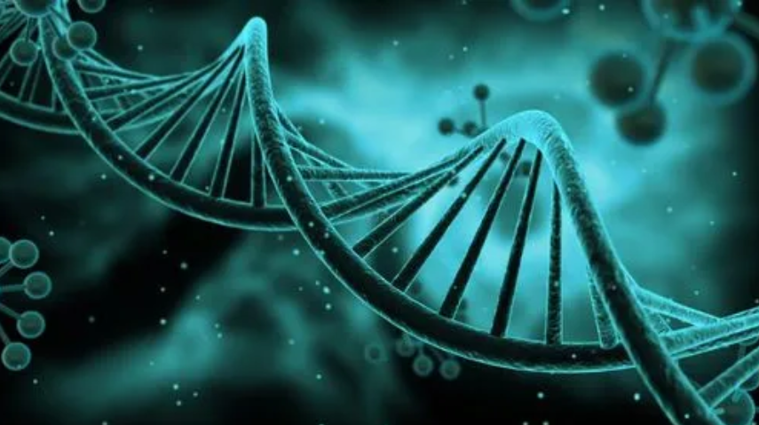 生物技術(shù)翻譯需要關(guān)注哪些要點(diǎn)?